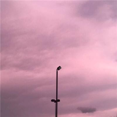 我在仙途官方版下载